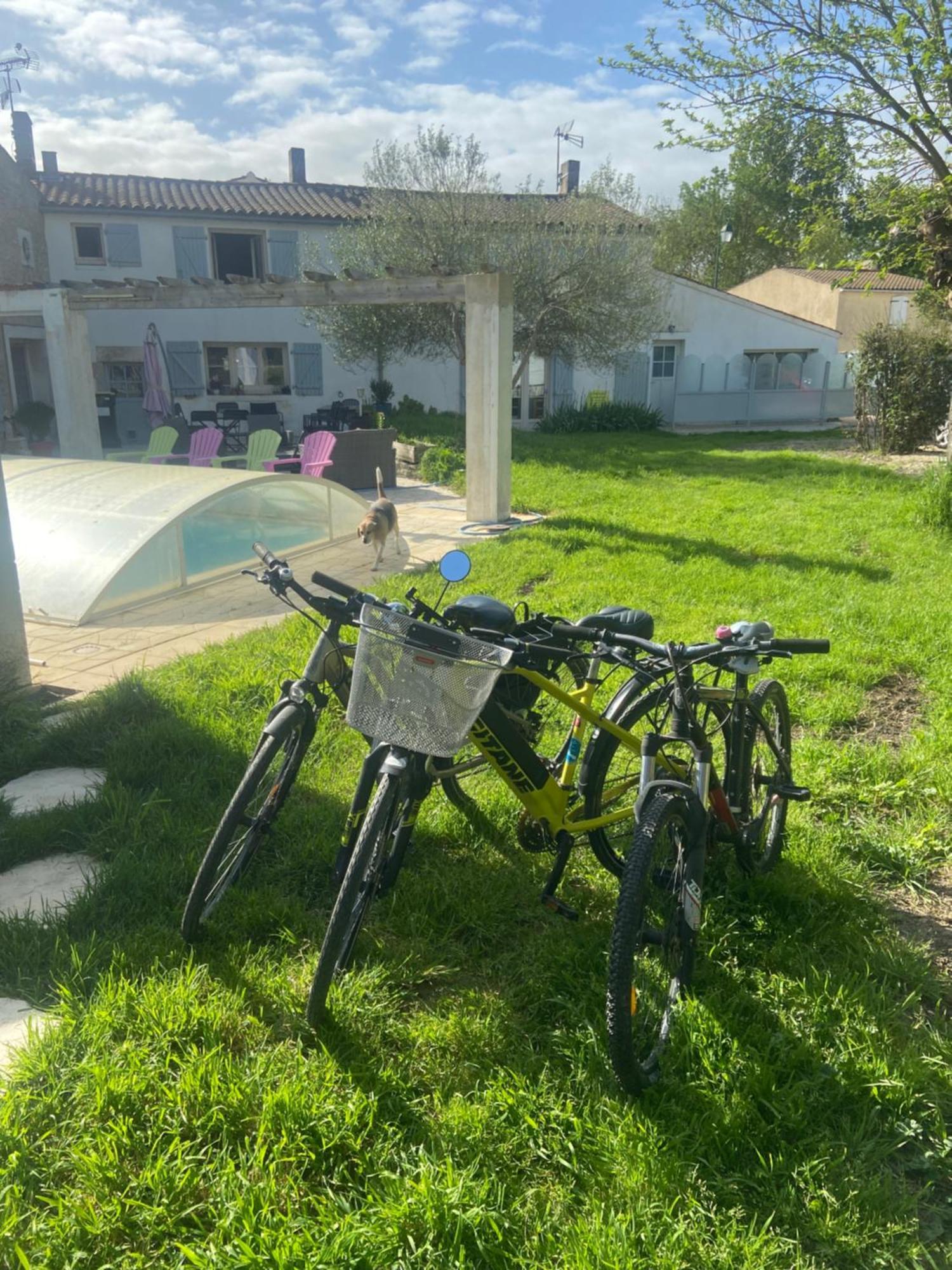 Petit Appartement Saint-Xandre Zewnętrze zdjęcie